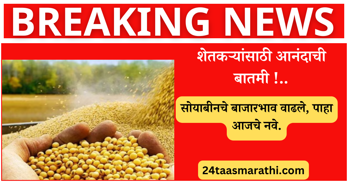 Soyabean Rate Today